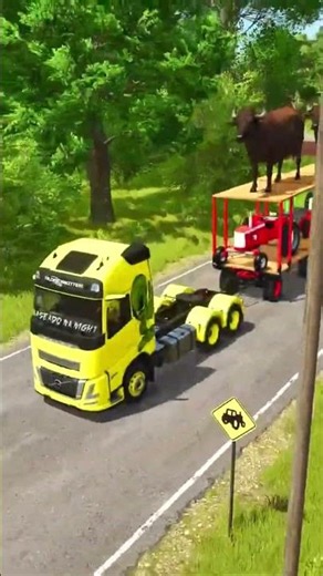 Buffalo transport #farming #farmingsimulator25 #cow