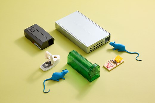 Not All Mousetraps Work—Experts Reveal the Best (and Worst)