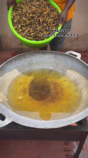 Snail Snack Vendor in Benin City — Order Crunchy Snail Treats