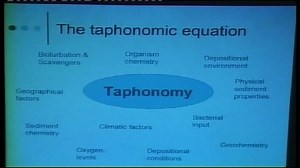 How to make a Burgess Shale fossil: an experimental approach