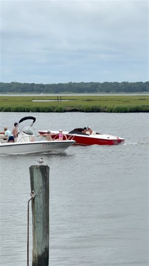 xlr8by on Instagram: "Donzi classic listen to that rumble! #boat #offshore #mercurymarine #performance #engine"