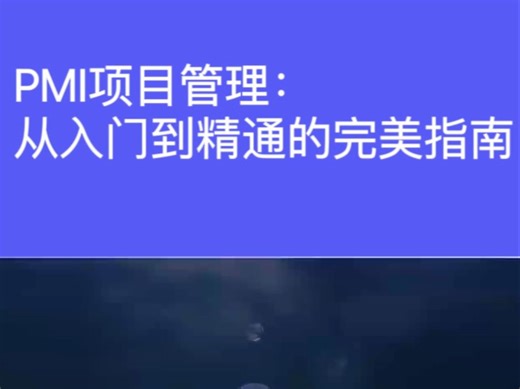 PMI项目管理：从入门到精通的完美指南