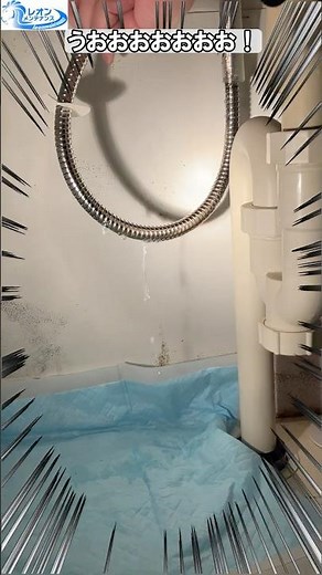 The shower hose on my CQFL401 was leaking, so I replaced it and repaired it. #shorts #toilet #mal...
