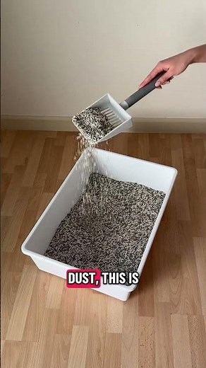 The clay litter struggles are real