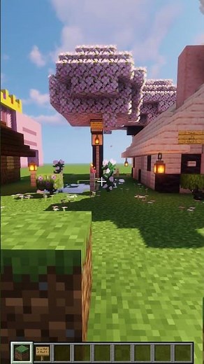 Minecraft but everyday I place a grass block until I reach the world border 102 #shorts #minecraft