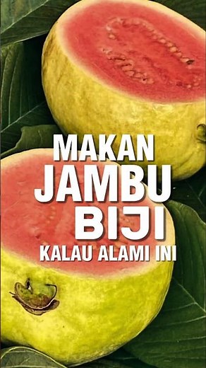 Manfaat Jambu Biji untuk kesehatan, Makan Kalau Alami Tanda Ini