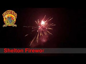 SF-95 EL TORRO MASTER OF FIRE 100 SHELLS