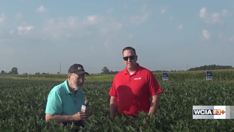 From the Farm: Planning for cover crops