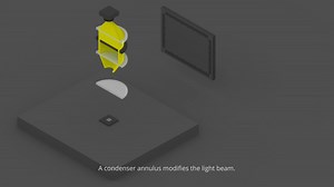 File:Dark field and phase contrast microscopies.ogv - Wikimedia Commons