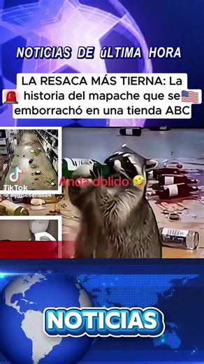 Jose Rodríguez (@joserodriguez919)’s videos with original sound - Jose Rodríguez