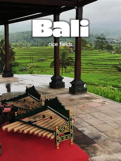 Have you ever heard traditional Balinese bamboo instruments? 🎵 A local musician plays a beautiful melody in the middle of these epic 100-year-old rice fields. Magic is real. ✨ 📌 Save this peaceful moment and visit the link in bio to watch the FULL cinematic video! #jatiluwih #balitravel #ubud #indonesia #travelaesthetic #meditation #unesco #baliculture #traditonal #bamboomusic #zen #naturetherapy #relaxingwaves #culturalimmersion