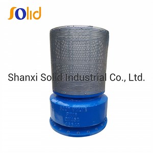 [Hot Item] Pn16 Cast Iron Flanged Type Foot Valve with Strainer