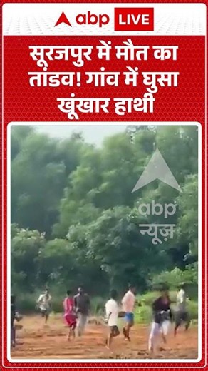 Viral Video | सूरजपुर में मौत का तांडव! गांव में घुसा खूंखार हाथी | #ytshorts #breakingnews