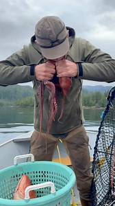 2.4M views · 8.9K reactions | Steve learned this trick on how to dispatch an octopus from some friends in Hawaii. Those learnings carried with him to Alaska. | MeatEater | Facebook