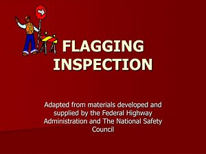 FLAGGING INSPECTION - SlideServe