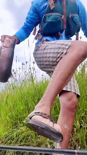 Fishing 魚 on TikTok