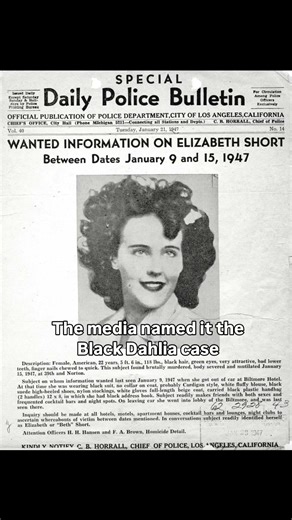 The Black Dahlia Case