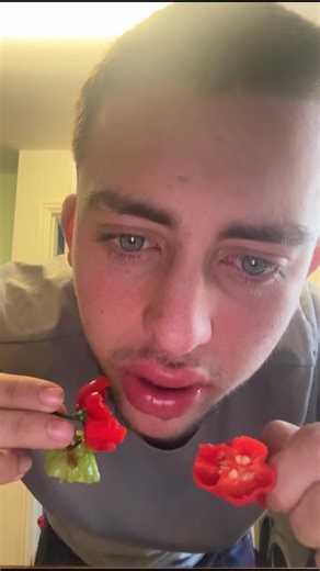 4 Scotch Bonnet No Reaction Spice Challenge