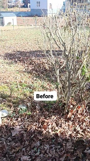 Before | Keith Young | Facebook