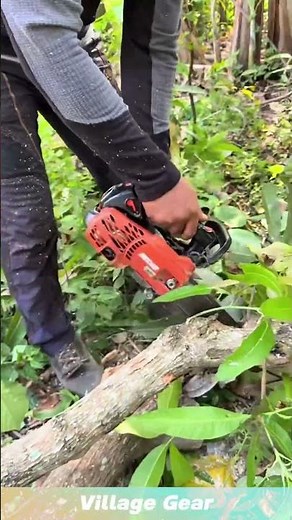 Light Logging with Portable Lithium Battery Chainsaw #craft #woodworking