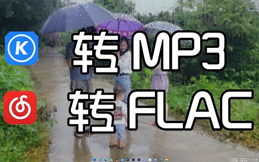 酷狗 网易云音乐等多平台转MP3 flac格式