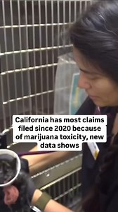 10K views · 66 reactions | A new report from pet insurance...