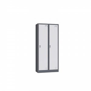 [Hot Item] Durable and High Quality 2 Door Locker with Secure Equipment
