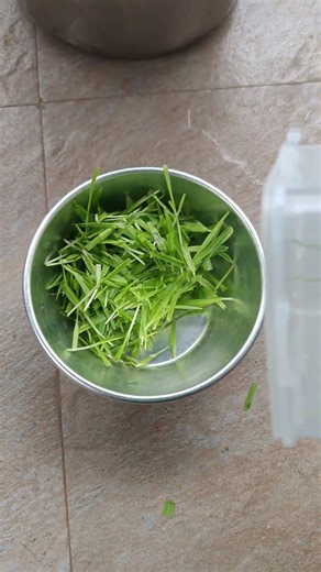 Making a barley fodder for bunny. #rabbit #bunny #pets