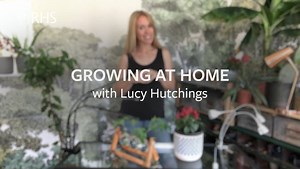 4.2K views · 51 reactions | Vegetable grower and gardening author...