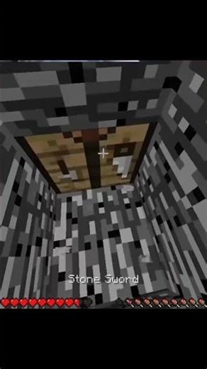 I used my big brain!! #minecraft #memes