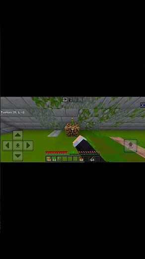 How to Make a Realistic Potted Plant in Minecraft!
