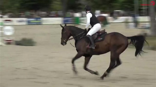 2.7K views · 42 reactions | Beim Springturnier in Viernheim fanden heute die Springpferdeprüfungen der Qualifikation zum HKM-Bundeschampionat für 5 & 6-jährige Pferde der Klasse M* statt.  Dabei konnte Jeffrey 19 unter Britt Roth bei den 6-jährigen mit einer 8,8 und Captain Bavaria unter Jens Christ mit einer 8,6 überzeugen! Top Leistungen!  Sieh dir alle Ritte hier an: ⏯️ watch.clipmyhorse.tv/Springturnier-Viernheim | ClipMyHorse.TV Deutschland | Facebook