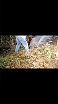 Cleaning up: garbage heap 8