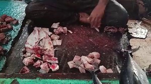 Amazing Giant Catla Fish Cutting | Professional Bocha Fish Slicing Techniques