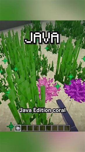 growing coral in the desert | PrismBlock