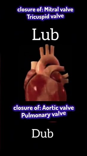 “Lub-Dub: The Sound of the Human Heart”#‪@SmartMedicalKnowledge‬