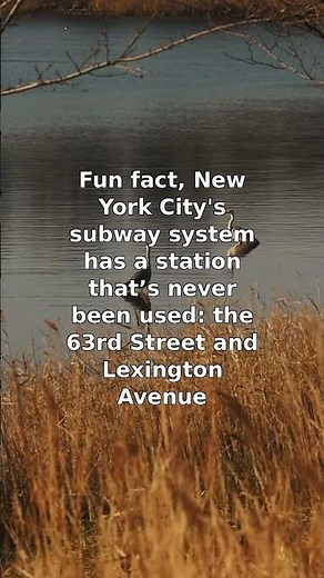 NYC's Unused Subway Station: 63rd & Lexington