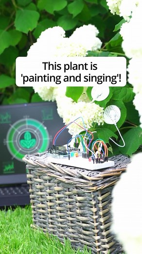 34K views · 31 comments | Repost from @christian_brinkmann_ • New...