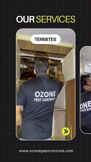 Ozone Pest Control – Best Termite & Cockroach Control Services in East Delhi | #cockroaches