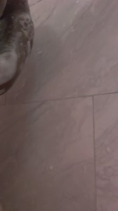 Help me clean my body | Carol Oates