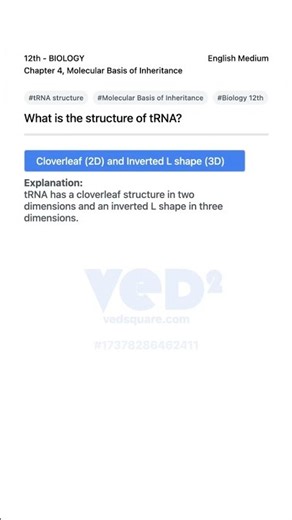 Molecular Basis of Inheritance tRNA Structure Explained