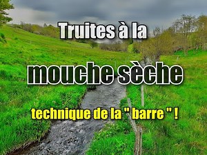 Dry fly trout fishing: traditional "bar" technique.