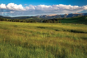 1.2K views · 51 reactions | Paradisal gentleman’s ranch and recreational retreat with 355.53± diverse acres and .88± miles of the East Fork of Big Spring Creek. Superbly crafted 4,882± square foot owner’s residence and partially renovated ranch guest house and workshop. Sporting opportunities abound just 15 miles south of Lewistown, Montana in the foothills of the Big Snowy Range https://hallhall.com/property-for-sale/montana/aspen-bend-ranch/a091Y000023ow5O/ | Hall and Hall | Facebook