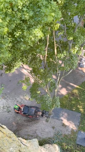 Our 2025 season! We had a great year, so happy to continue to provide quality tree care to our communities! Thank you to all my clients, friends, employees and most of all my family for all the support and love! 👍🌳 | Hunte's Tree Service