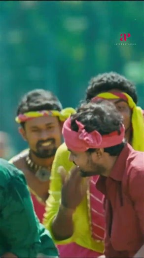 Watch 👆 'Mallu Singh' movie songs! #mallusingh #kunchackoboban #bijumenon #unnimukundan #shorts