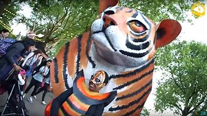 Experience ZSL London Zoo in a whole new light and join us for a summer festival of great food, scintillating science and, of course, amazing animals as the sun sets. Taking place on Fridays, from June 3 – July 15, get ready to explore the world famous Zoo at dusk: http://www.zsl.org/sunsetsafari | London Zoo