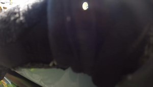 4/9: BAVFC was alerted for an MVC with rescue at the intersection of Rt 1 & 543. Rescue 3 extricated 1 patient. 4 patients total were transported for eval. MM Video: FF Gardiner | The Bel Air Volunteer Fire Company