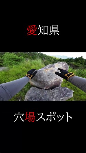 Cross Cub forest road and foxglove #shorts