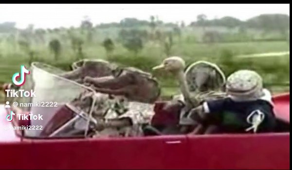 子どもたちは夏休み突入ですね！私たちの夏休みといえばこの歌♪ #夏休み #懐かしい歌 #世代に届け