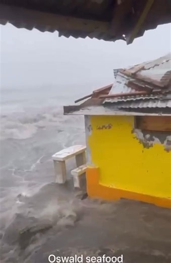 Alligator Pond, Manchester, Jamaica | sheldonlev